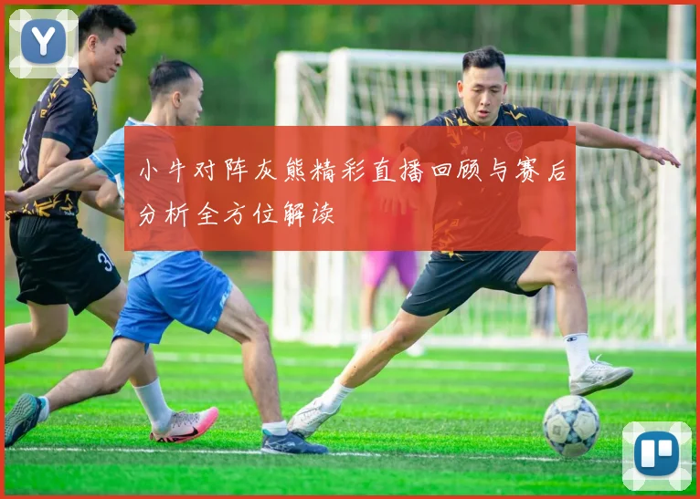 小牛对阵灰熊精彩直播回顾与赛后分析全方位解读