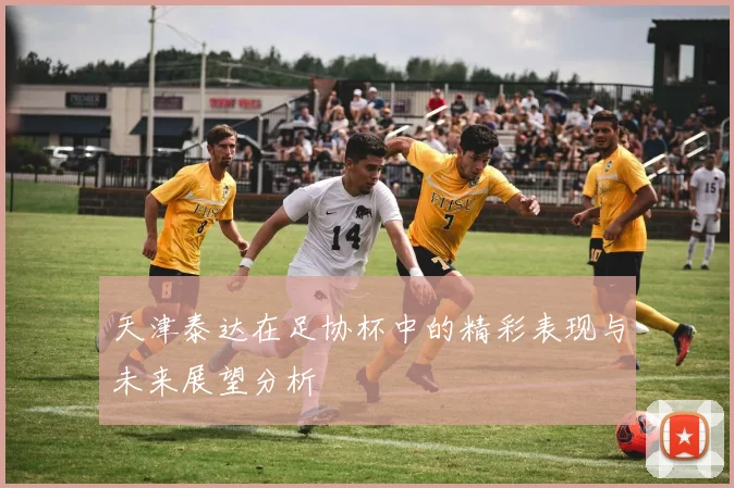 天津泰达在足协杯中的精彩表现与未来展望分析